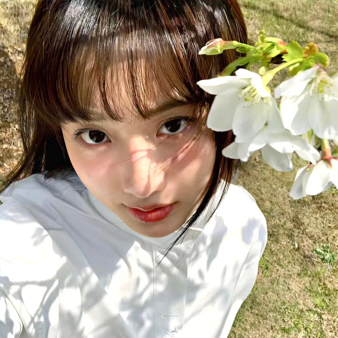 生存的机会